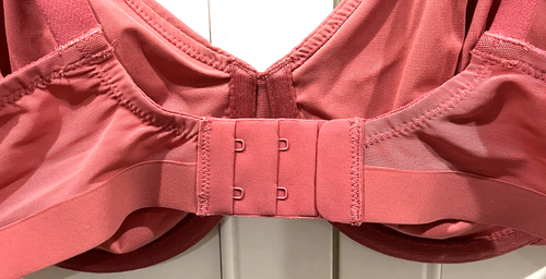 Wacoal Rose Shape Revelation Uneven Underwire Bra 855487 SZ 34 D Nwt $76 - Picture 3 of 3