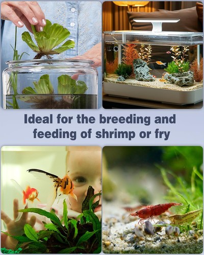 Pawfly Mini Aquarium Schwammfilter, kleiner Aquarium Innenfilter mit Schaumstoff an - Bild 6 von 11