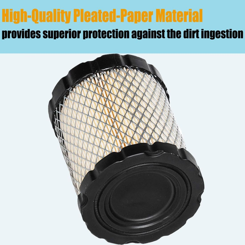 798897 794935 Air Filter for BS 592496 44M977 44P977 44Q977 49L977 49M977 Engine - Picture 5 of 12
