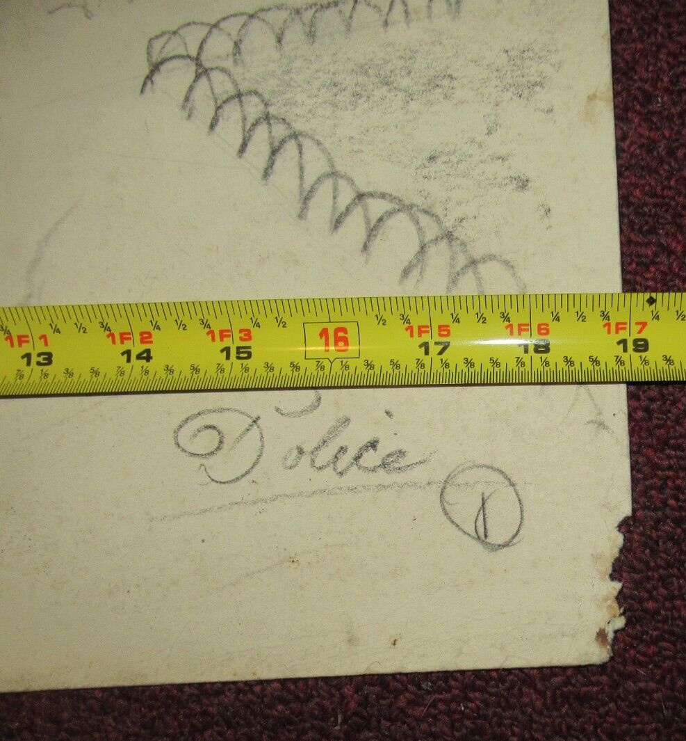 Picture 7 of 7