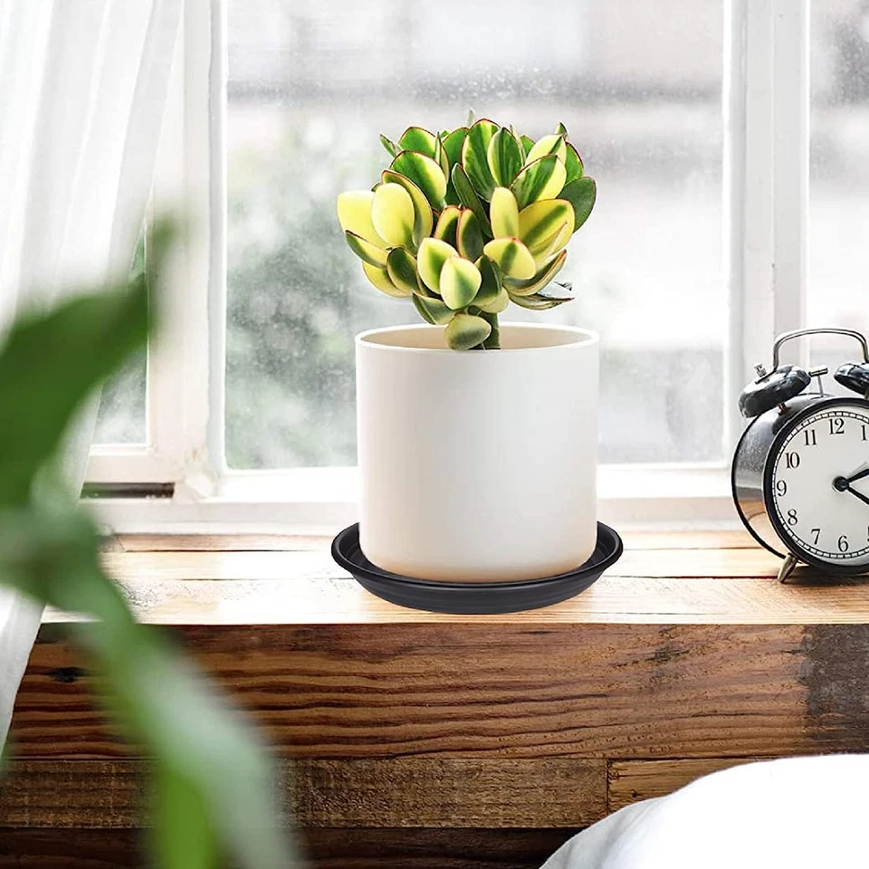 5 paquetes de platillos para plantas 6 8 10 12 14 16 19 22 26 pulgadas bandeja de plástico para maceta planta de flores Foto 4 de 4