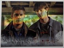 SUPERNATURAL CRYPTOZOIC SEASONS 1-3 SILVER FOIL SP /25 #06 SAM & DEAN 🔥