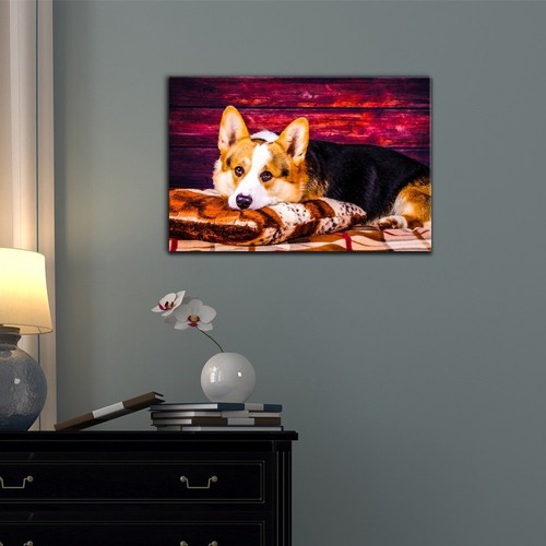 Wall26 - Dogs Breeds Canvas Wall Art - Welsh Corgi Pembroke Dog - 12x18 inches - Picture 2 of 3