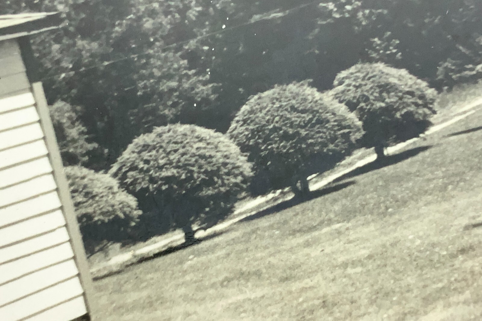 Picture 6 of 7