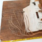 Foto 12 di 12