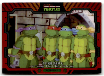 2025 Viacom Teenage Mutant Ninja Turtles WLTMNT1-R-75 The Ninja Tortoises