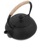  Handled Teapot Iron Heating Pot Water Heating Pot Cast Iron Teapot for Home