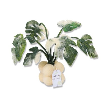 Monstera Potted Plant Wool Felted Set with Needle Instruction and Wool Roving