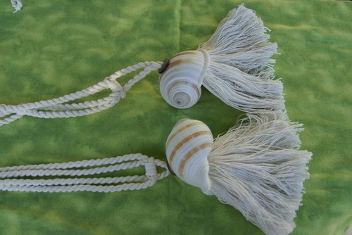 10 Banded Tun Tonna Sulcosa Seashell California Florida Designer Tassels 12 off 10 Banded Tun Tonna Sulcosa Seashell California Florida Designer Tassels 12 off