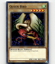 Yugioh - Queen Bird - Spell Ruler 25th Anniv.