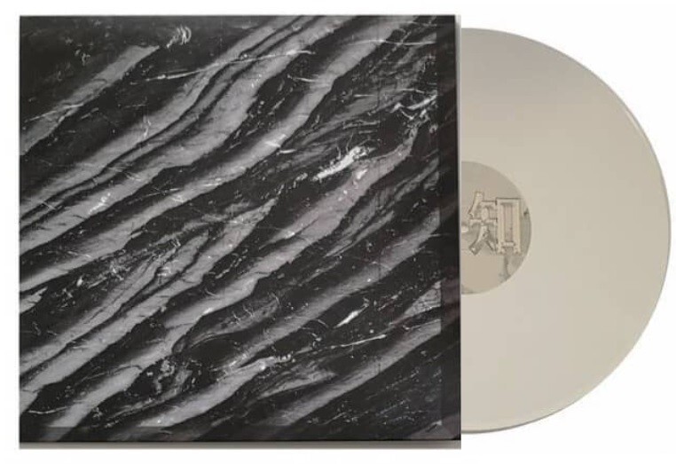 Yung Lean Unknown Death 2002 VINYL 2018 Pressing Ecco2k Bladee Lil