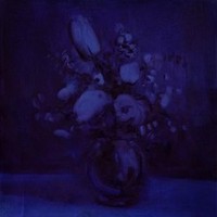 Deaf Wish - Lithium Zion - Cd - G2Z