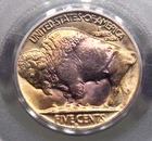 1938 "D" Indian Head BUFFALO Nickel 5c PCGS MS66 #336 OGH Green Gem ECC&C, Inc.