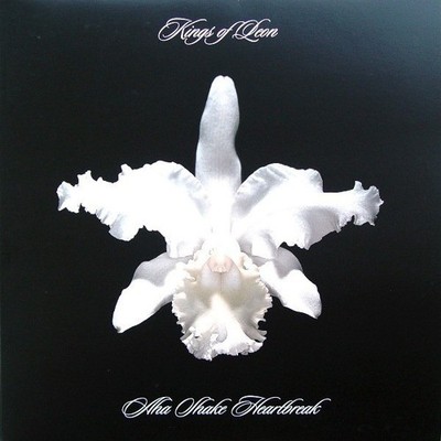 Kings Of Leon - Aha Shake Heartbreak Vinyl 2LP NEU 0551060