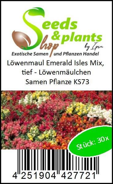 Bild 3 von 5