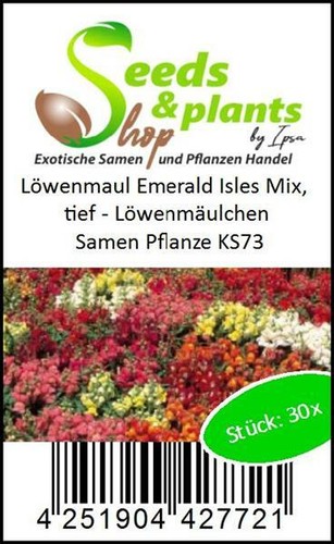 30x Löwenmaul Emerald Isles Mix, tief Löwenmäulchen Garten Pflanzen Samen KS73 - Bild 3 von 5