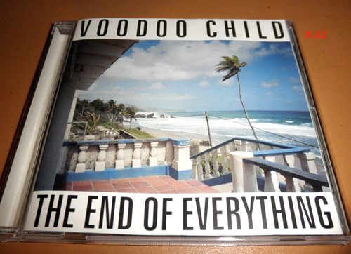 Voodoo Child aka Moby CD The End of Everything animal sight Dog Heaven