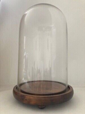 GLASS DOME DISPLAY WITH WOODEN BASE / BELL JAR / CLOCHE HEIGHT 40CM