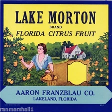 Lakeland Florida Lake Morton Orange Citrus Fruit Crate Label Art Print