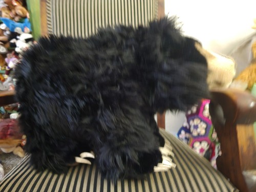 "Le Steiff 665523 1998 20"" Woolly Sloth Bear Smithsonian con etiquetas" - Imagen 7 de 8