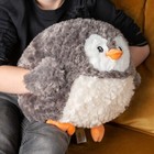 Bild 2 von 41