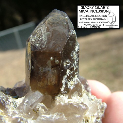 SMOKY QUARTZ CRYSTAL with MICA INCLUSIONS HALLELUJAH JUNCTION PETERSEN MOUNTAIN - Picture 11 of 18