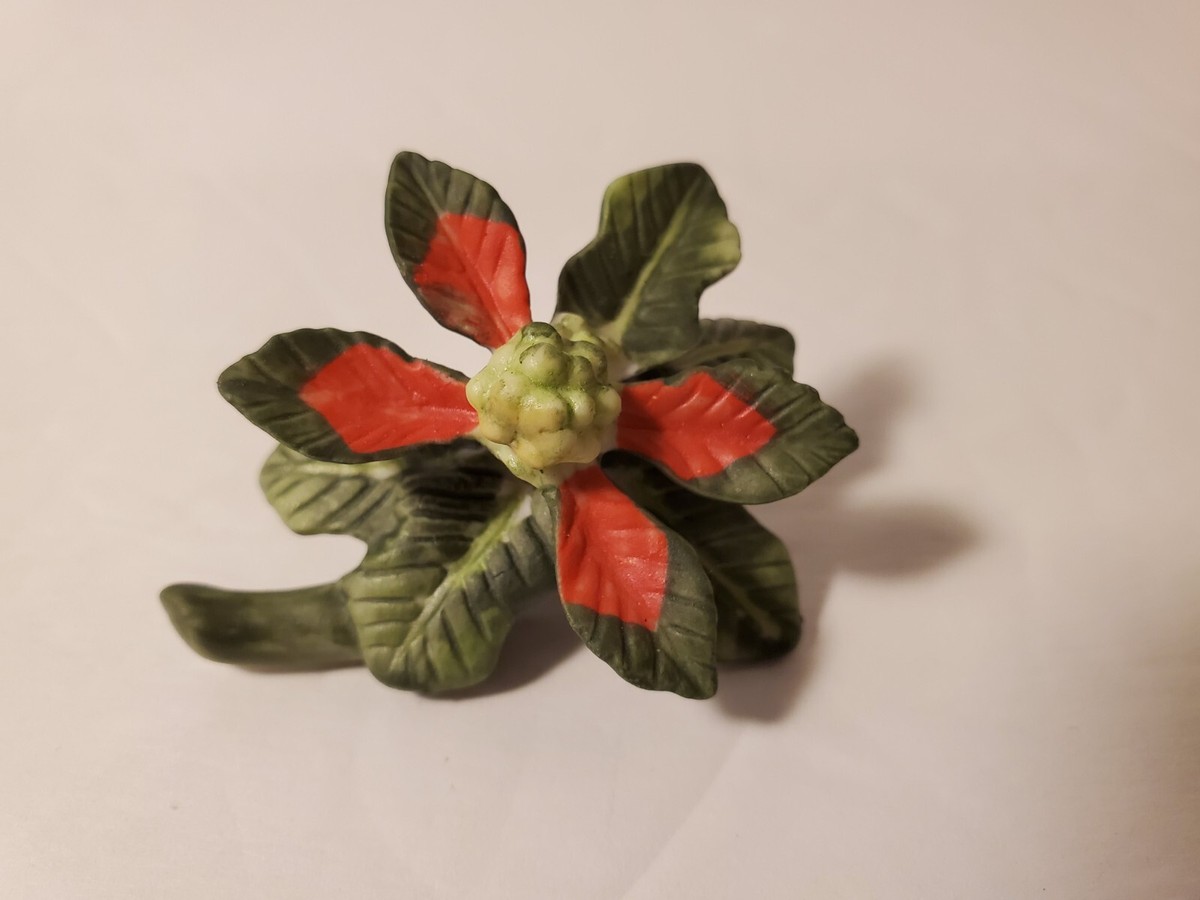 Flowers Cornwall Ontario Canada Best Flower Site