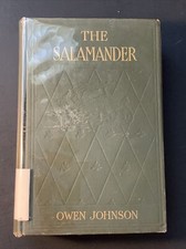 The Salamander by Owen Johnson (Hardcover, 1914) Illustrated by Everett Shinn