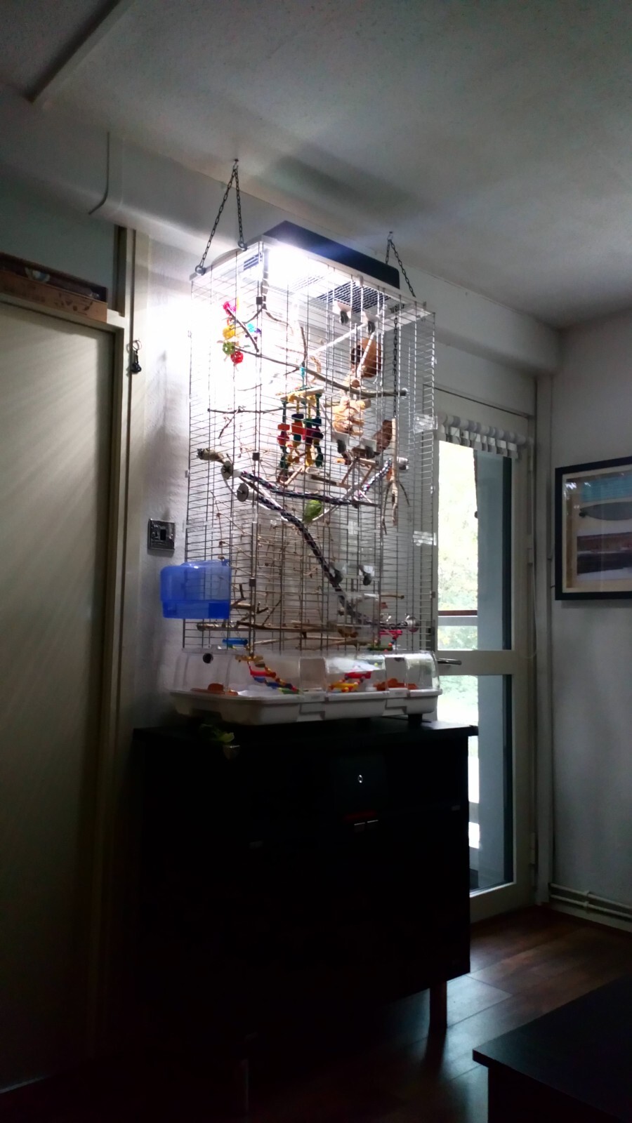 VISION L12 BIRD CAGE (extra tall) c/w spares, accessories, playthings