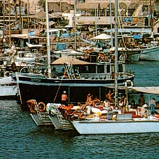 Eilat Red Sea Sailboats Boats Postcard Israel