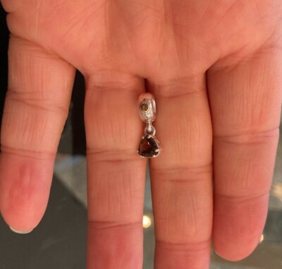 新品　PANDORA　チャーム　２個 PANDORA Pandora パンドラ チャーム 2 Tone Family Heritage 14