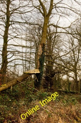 Foto 6x4 Noch ein Zeichen das es hier windig werden kann rote Narbe\/SD5832 c2014