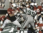Autographed DAN DIERDORF St. Louis Cardinals  8X10 Photo with COA