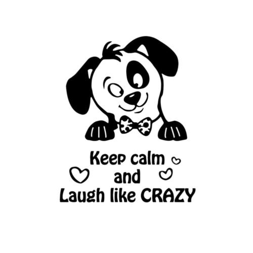 1PC Peel and Stick DIY Creative Keep Calm and Laugh Like Crazy Wallpaper - 第 1/12 張圖片