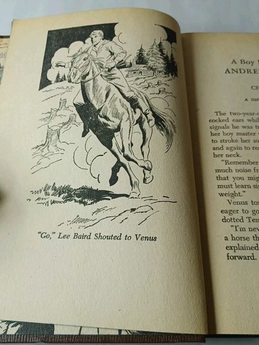 A Boy Fighter with Andrew Jackson by H.C. Thomas (1946, Hardcover) - Picture 15 of 15