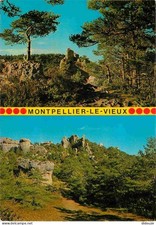 Postkarte - 12 - Montpellier le Vieux - Dolomitenchaos - Multivues - CPM