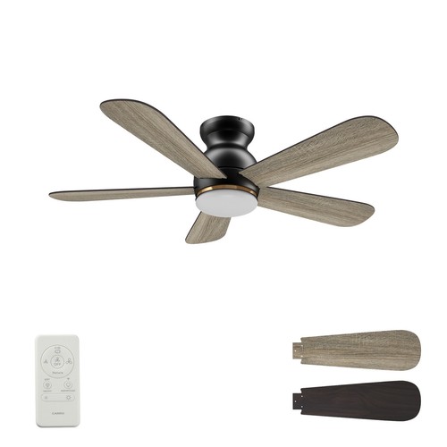 Quest 48-inch Indoor/Outdoor Smart Ceiling Fan with Light