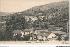 ALIP8-0783-88 - BUSSANG - l'hotel des sources