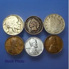 Lot Indian Head Cent, Liberty V & Buffalo Nickel, Steel & 2 Pennies-Mixed Dates