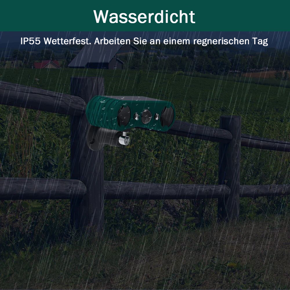 Bild 5 von 15