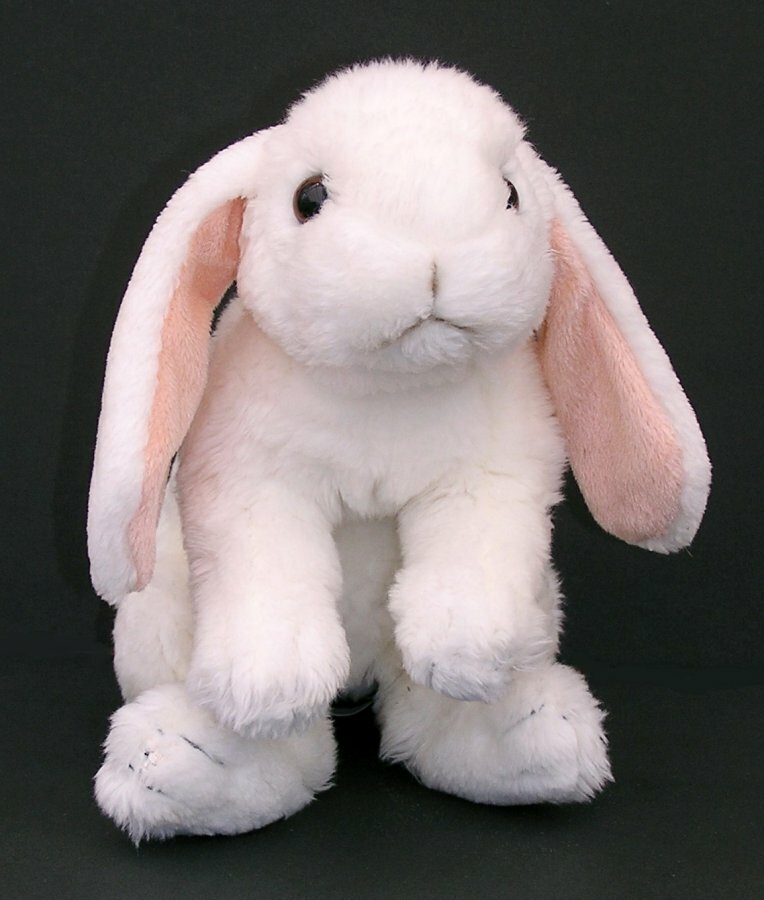 animal alley rabbit