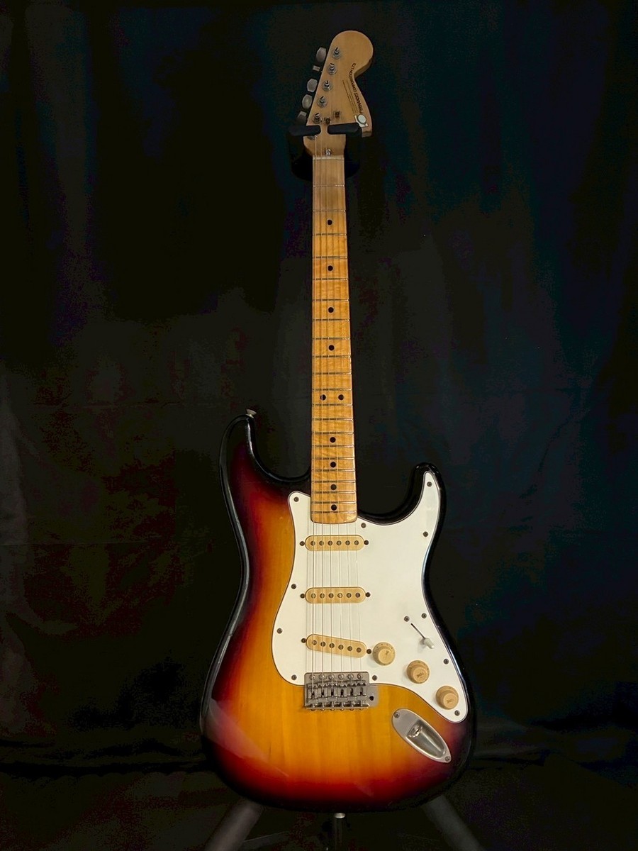 FERNANDES FST-50 Stone Logo | eBay