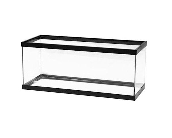 Aqueon Standard Glass 20 Gallon Long Aquarium Tank, Black Trim for