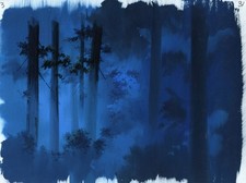 Original Production Background Night Trees An...