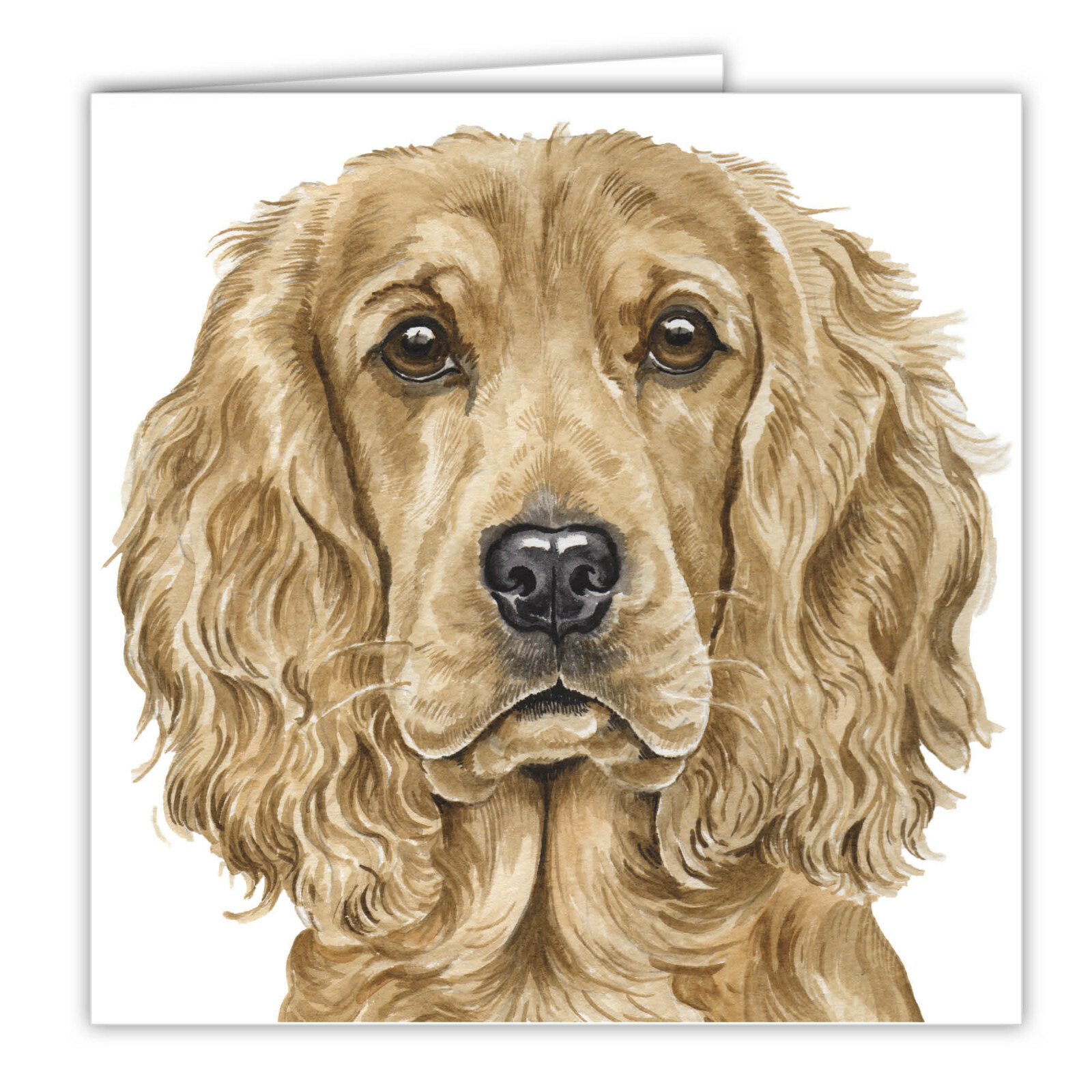 Cocker Spaniel greetings card dog blank card dogs Cocker Spaniels COCKERS art