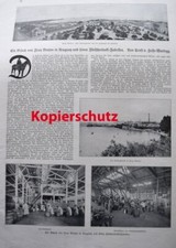 Extracto cárnico fábricas Uruguay bovino ganadería reportaje - 1911 s/w impresión