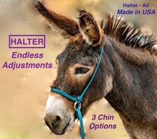 Halter All SMALL Donkey Endless Adjustable Halter & Lead 20+ colors USA