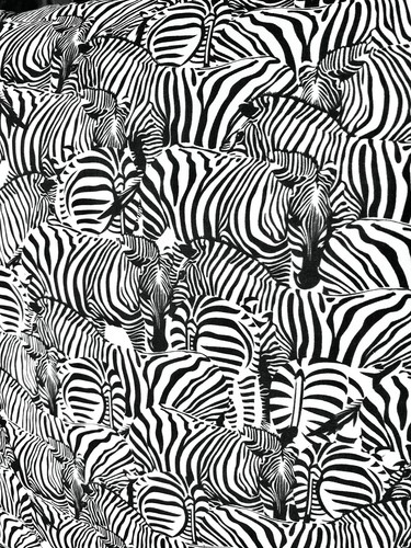 1152. Zebra print Black and white 100% Cotton Cushion Cover Various sizes - Picture 4 of 6