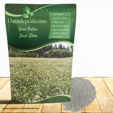 5 LBS - Inoculated Bulk White Ladino Clover Seeds For Planting - Trifolium