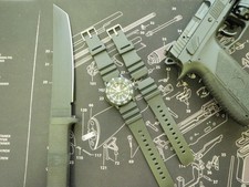 Luminox 22mm Dive and Sport Watch Replacement Band with Pins R29